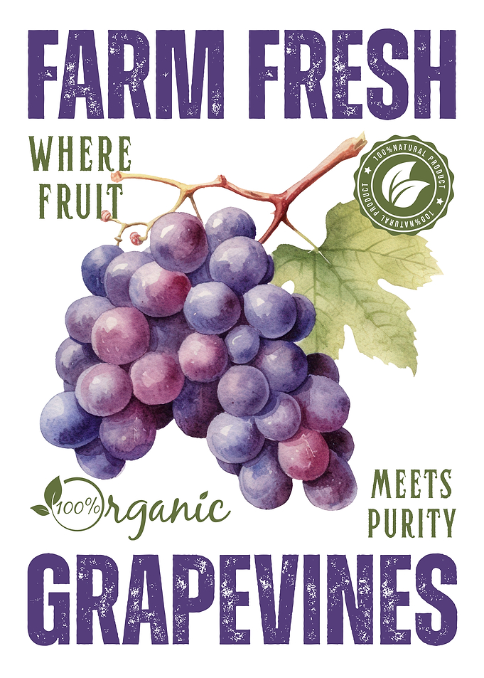 Farm Fresh Grapevines Watercolor Illustration