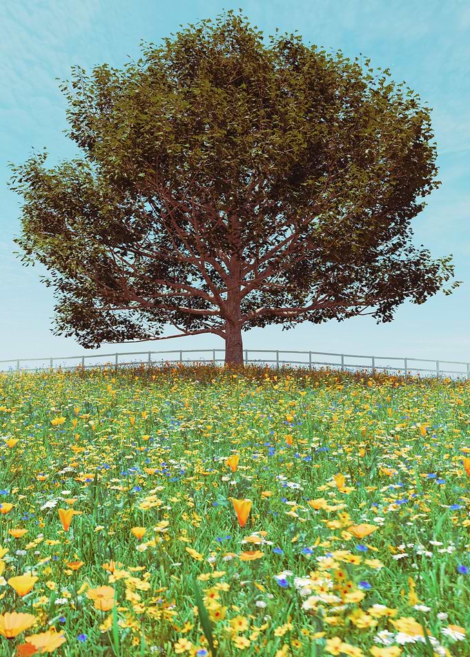 Tree in a wildflower meadow