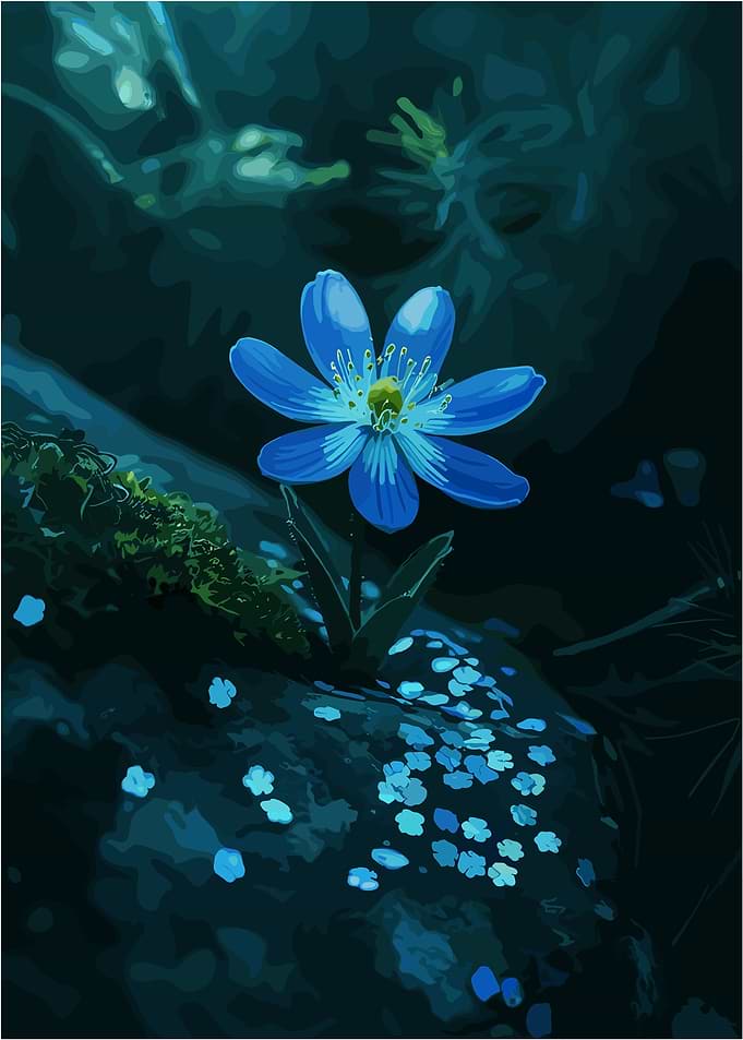 Blue Blossom in the Shadows