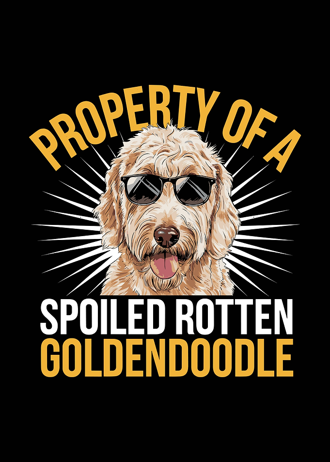 Spoiled Goldendoodle