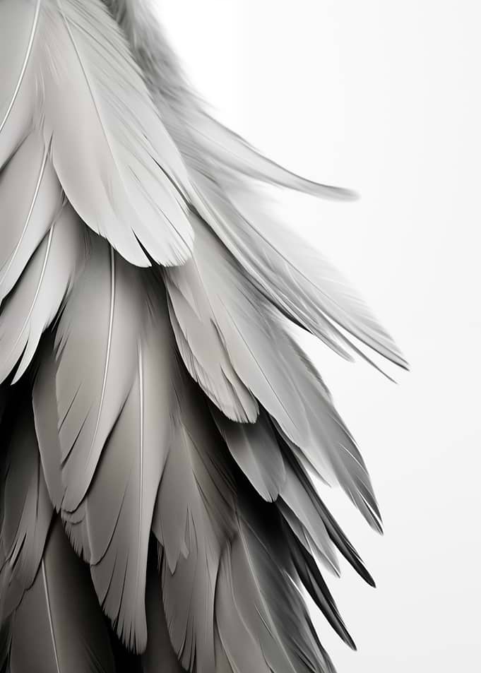 Gray Feathers Contemporary