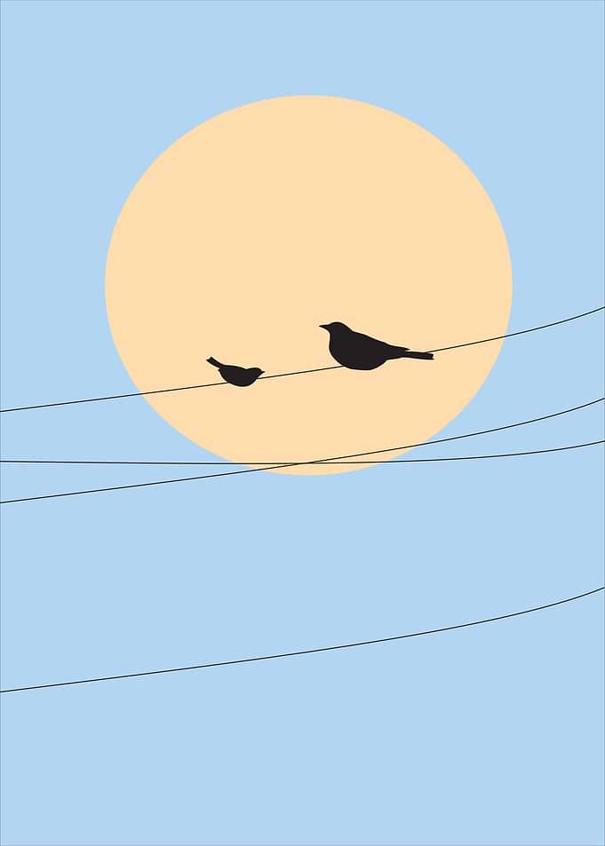 Birds on a Wire Silhouette