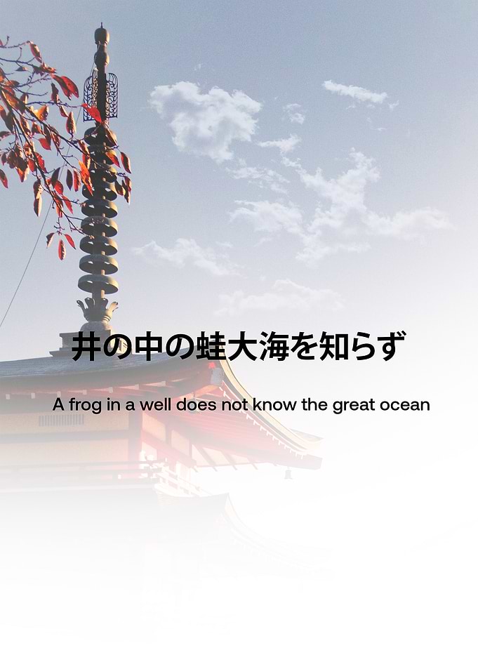 Japanese Proverb: Frog in a Well