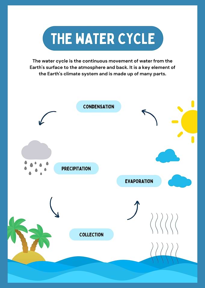 The Water Cycle Diagram
