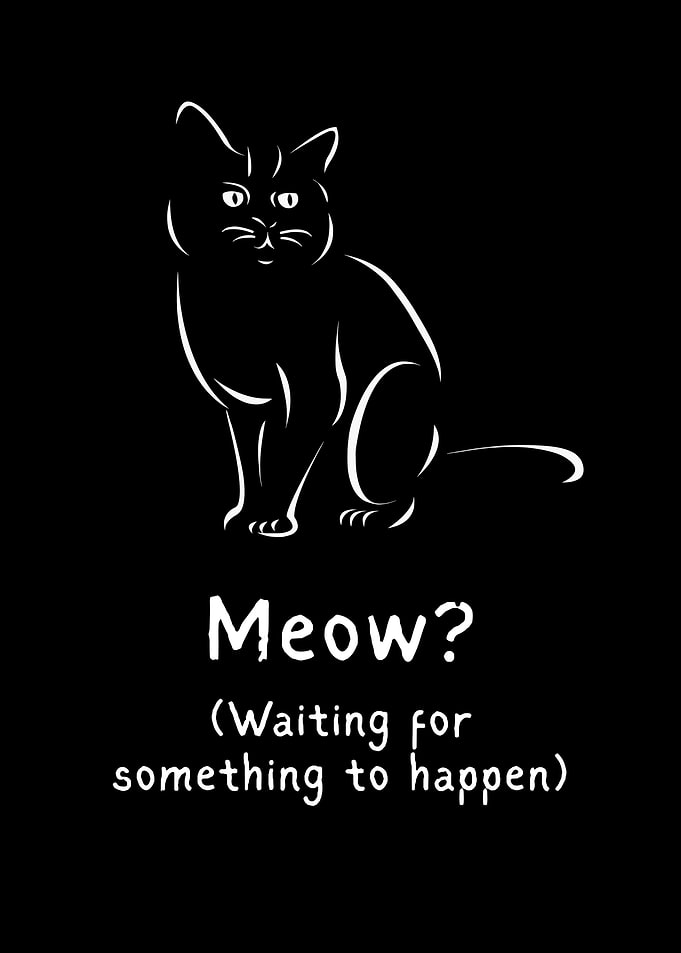 Minimalist Cat