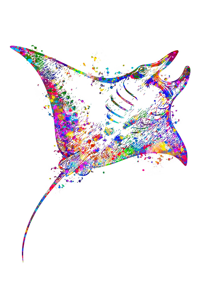 Colorful Manta Ray Watercolor
