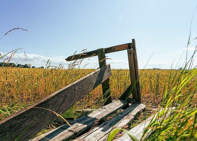 Rustic Wooden Structure in Wheat Field
