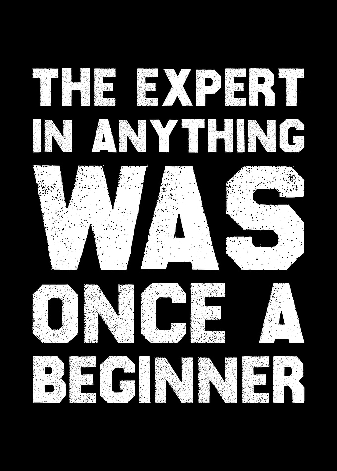 The Expert Was Once a Beginner Motivational Wall Art for Growth & Learning