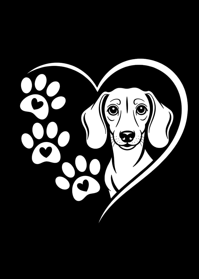 Dachshund Love Dachshund