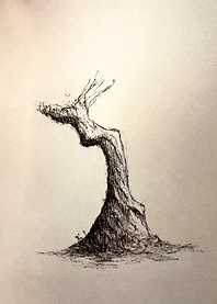 Monochrome Tree Sketch