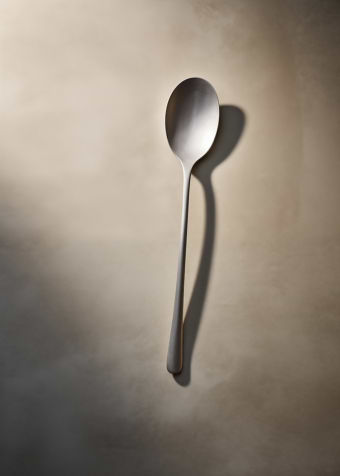 Elegant Silver Spoon