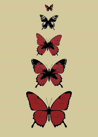 Red Butterfly Progression on Beige Background