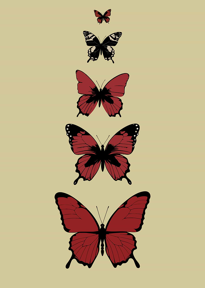 Red Butterfly Progression on Beige Background