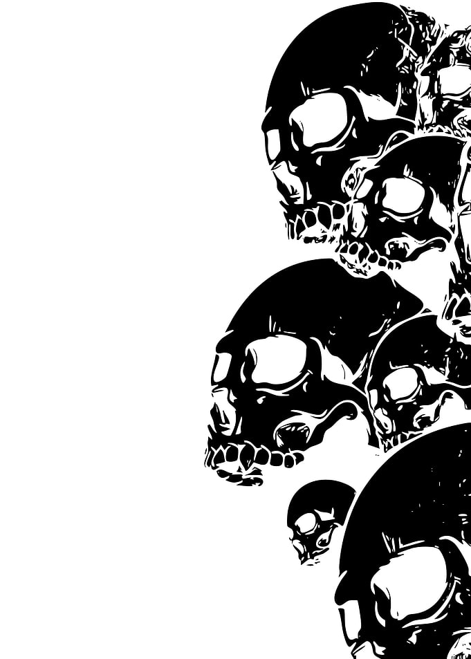Black and White Skull Illustration