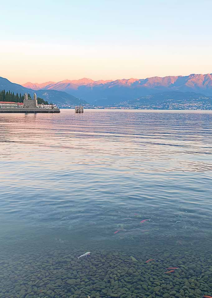 Lake view with mountains and fish