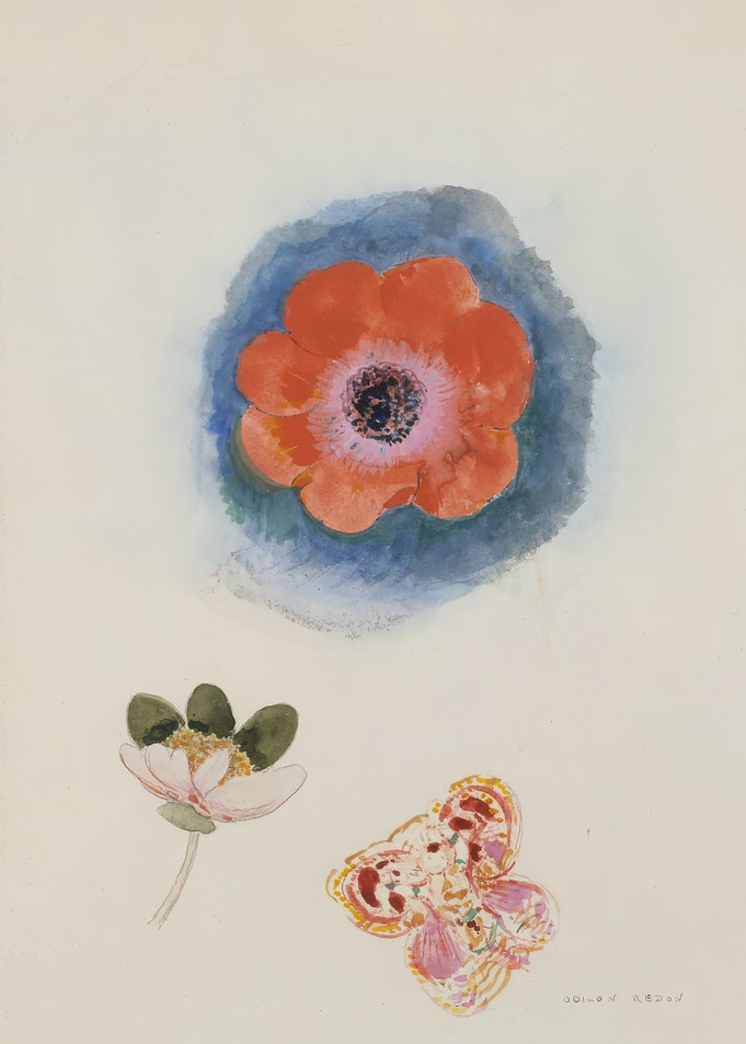 Floral Watercolor Painting with Anemone