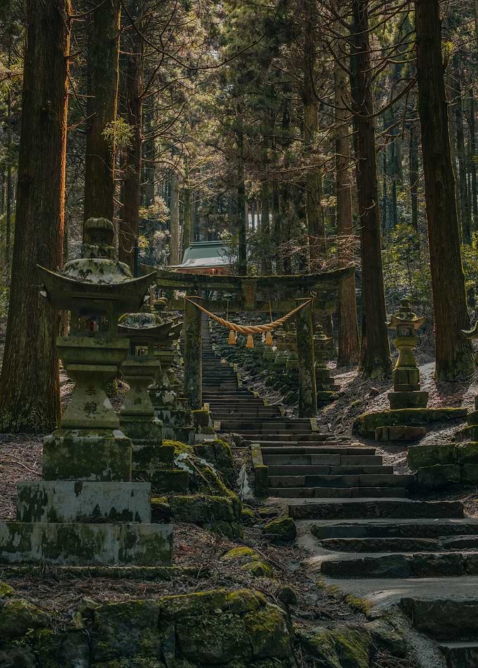 Japanese Shrine Path in Forest