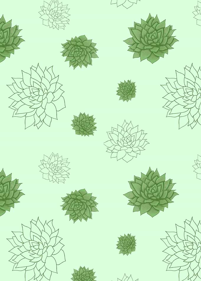 Succulent Echeveria Harmony Pattern