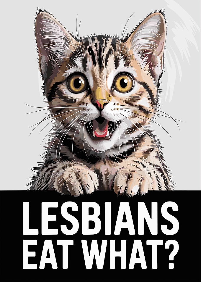Funny Cat meme