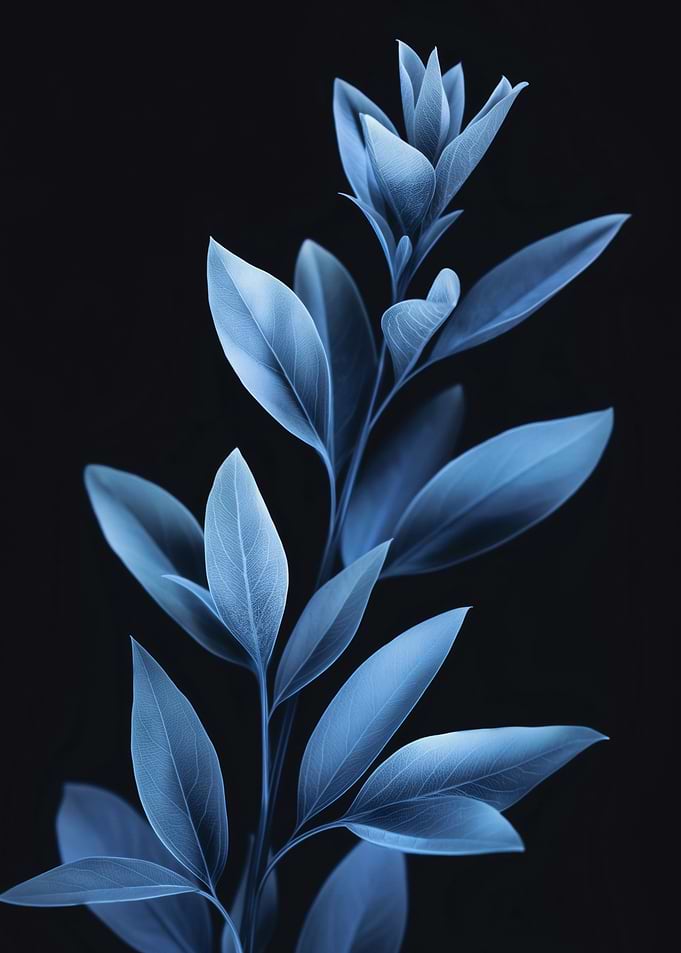 Blue Botanical Plant on Black Background