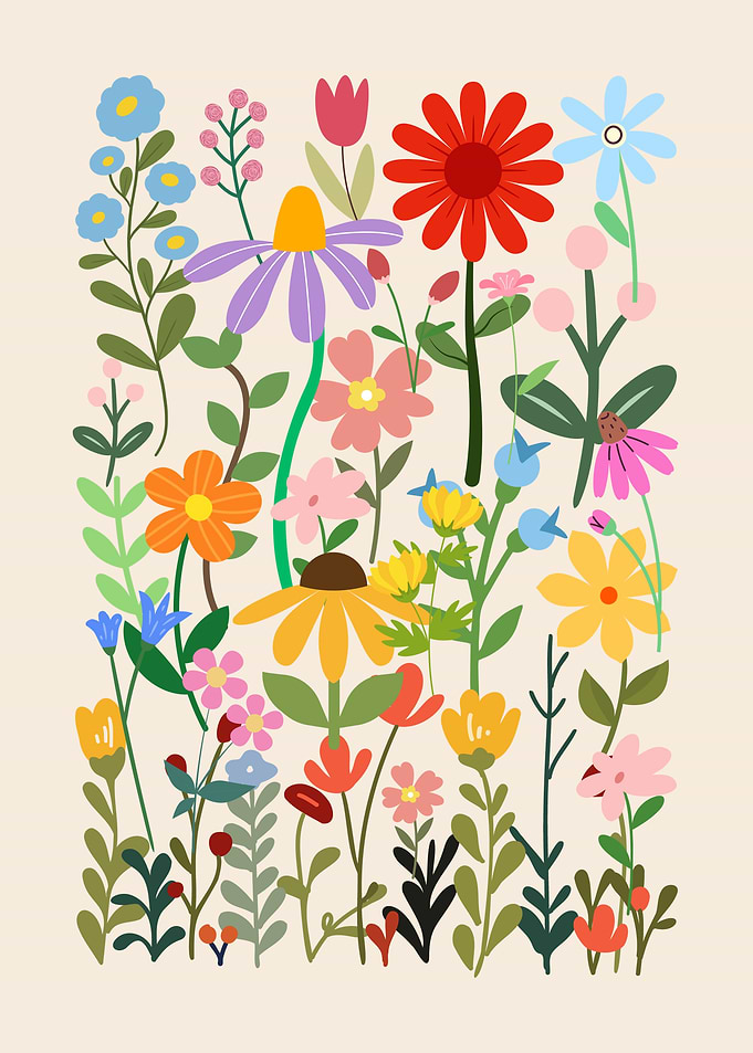 Colorful Wildflower