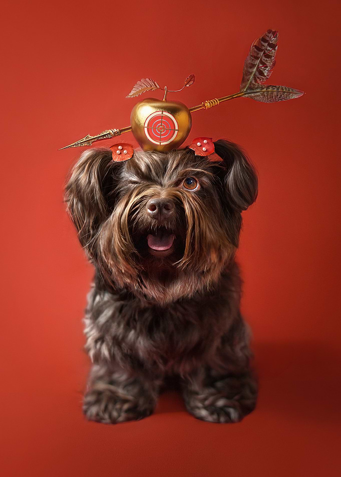 Dog with Apple and Arrow
