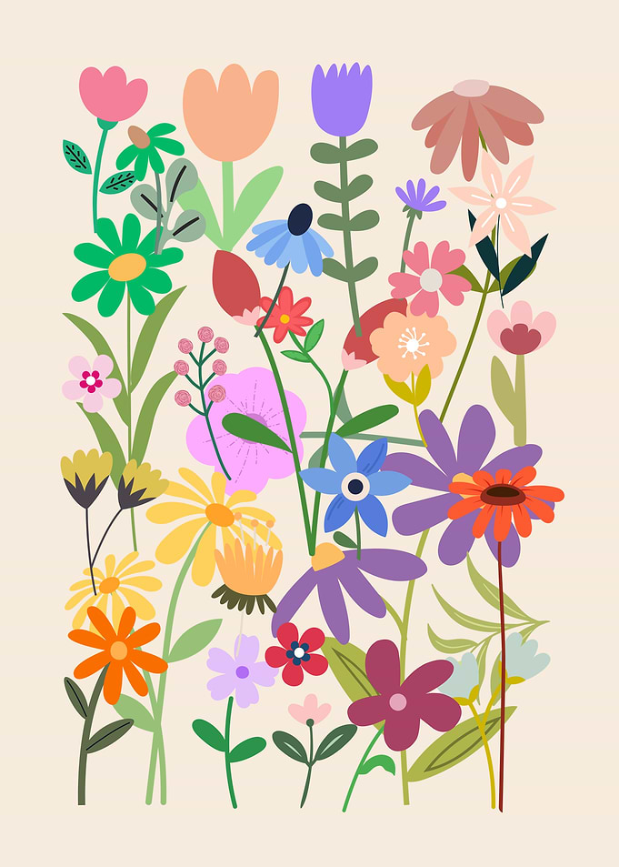 Colorful Wildflower