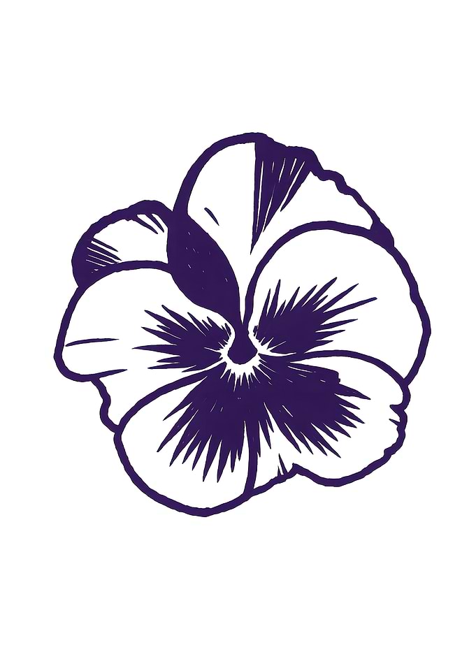 Purple Pansy Flower Illustration
