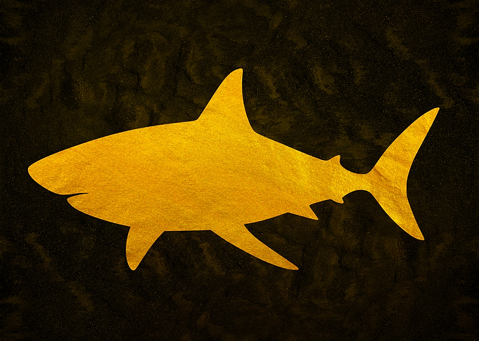 Golden Shark