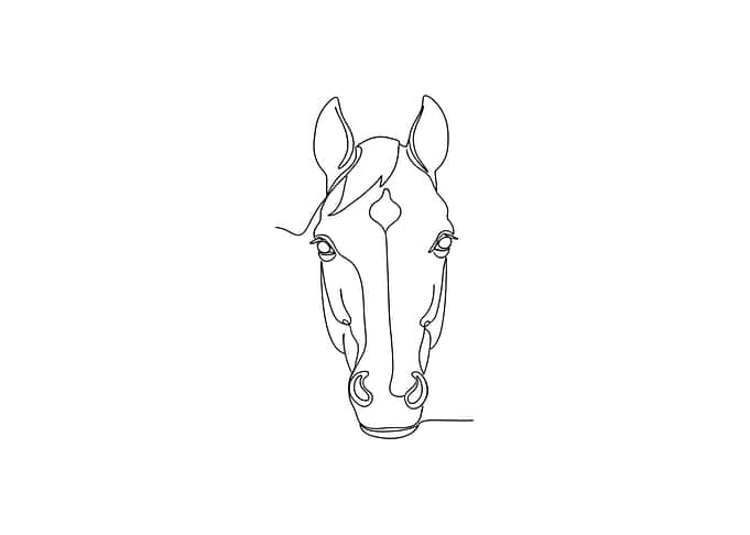 Horse Head Minimalist Line Art
