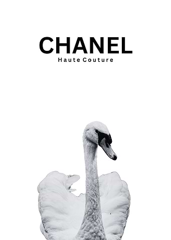 Latest drop