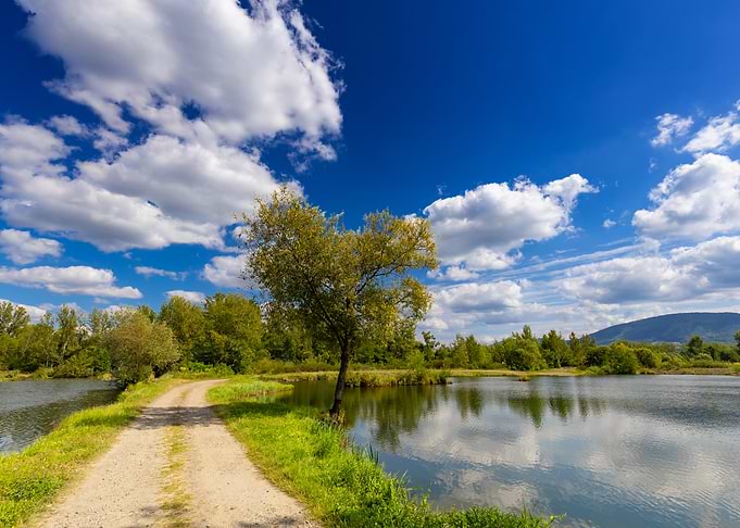 Scenic Path by Lake Under Blue Sky, Poland