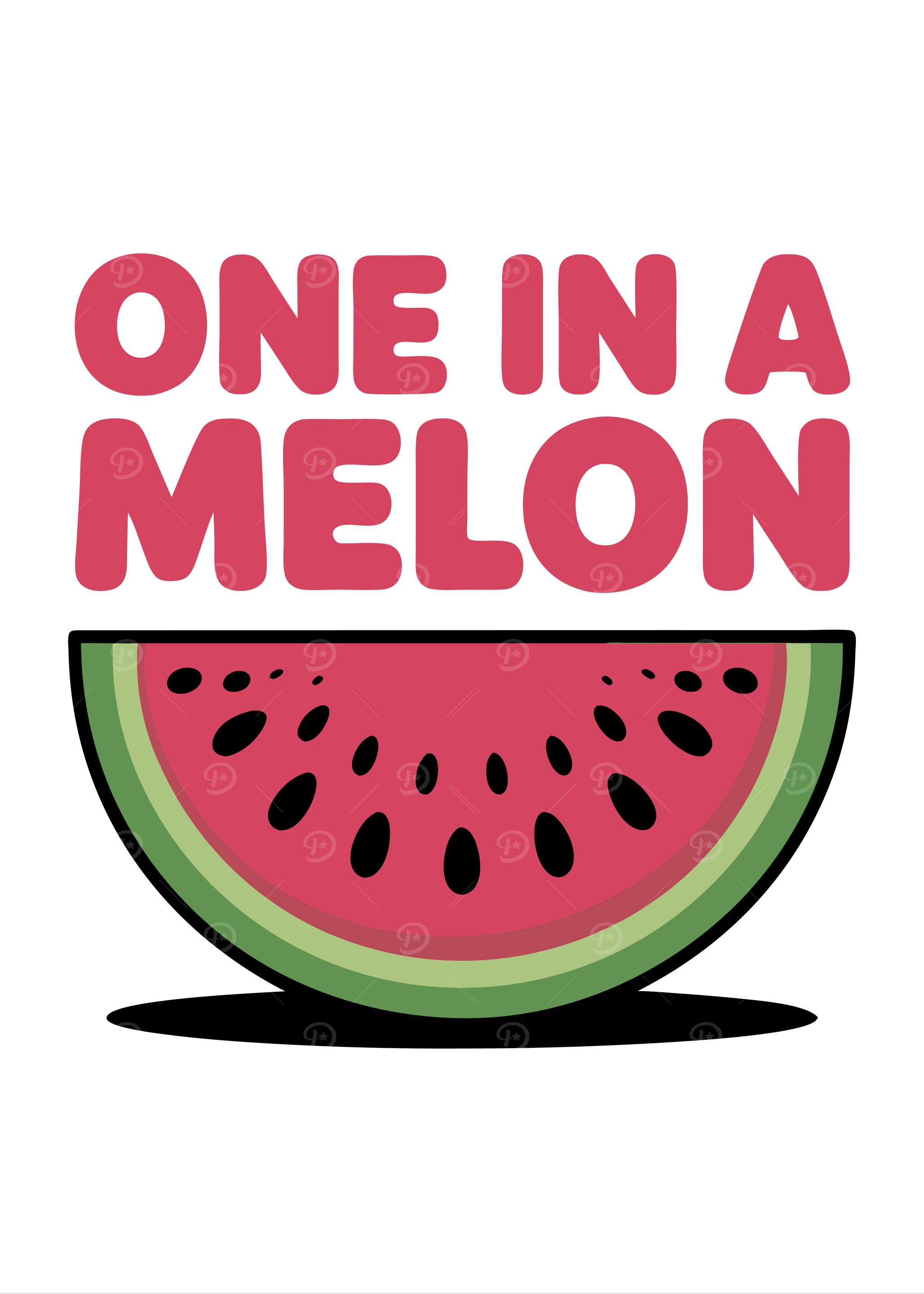 One In A Melon Watermelon Pun