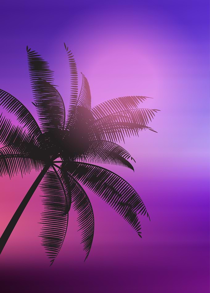 Palm Tree Silhouette with Purple Gradient