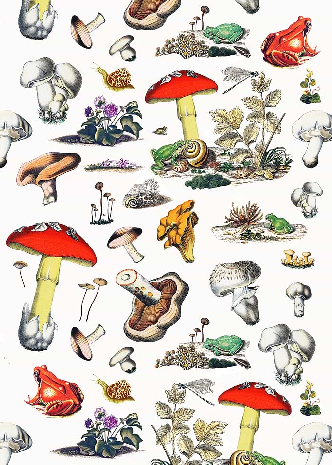 Mushroom Woodland Wildlife Botanical Pattern