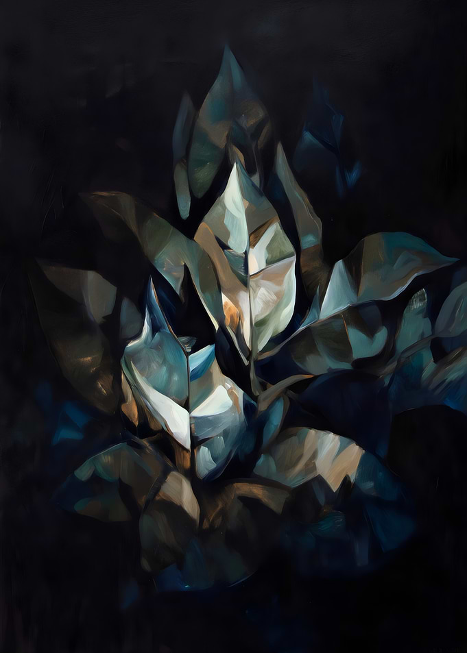 Midnight Botanical Geometry