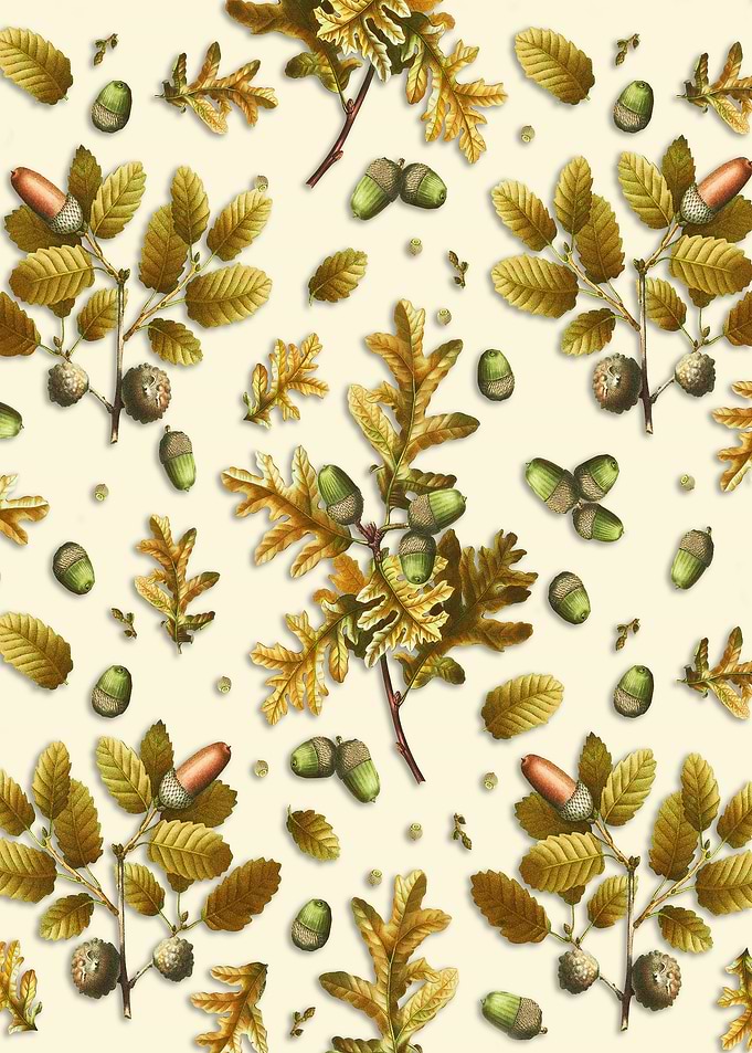 Autumnal Acorn and Oak Leaf Pattern