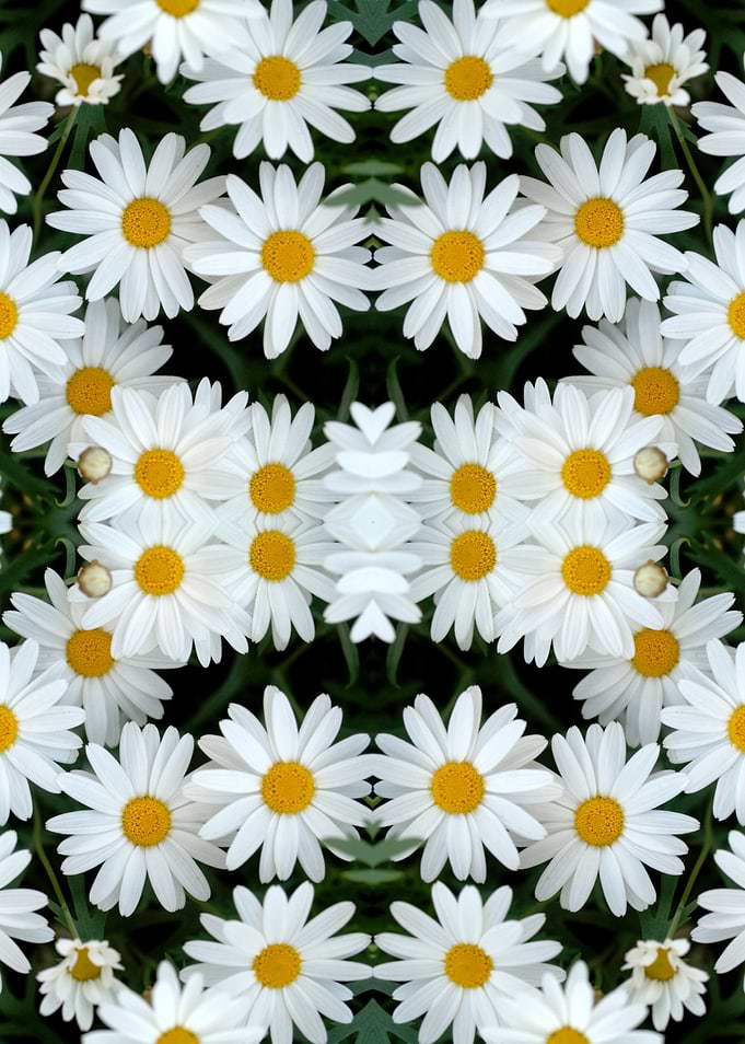 Daisy Flower Kaleidoscope Pattern