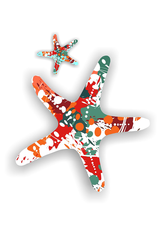 Colorful Starfish Duo on White Background