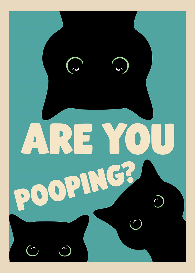 Are You Pooping? Cats Poster