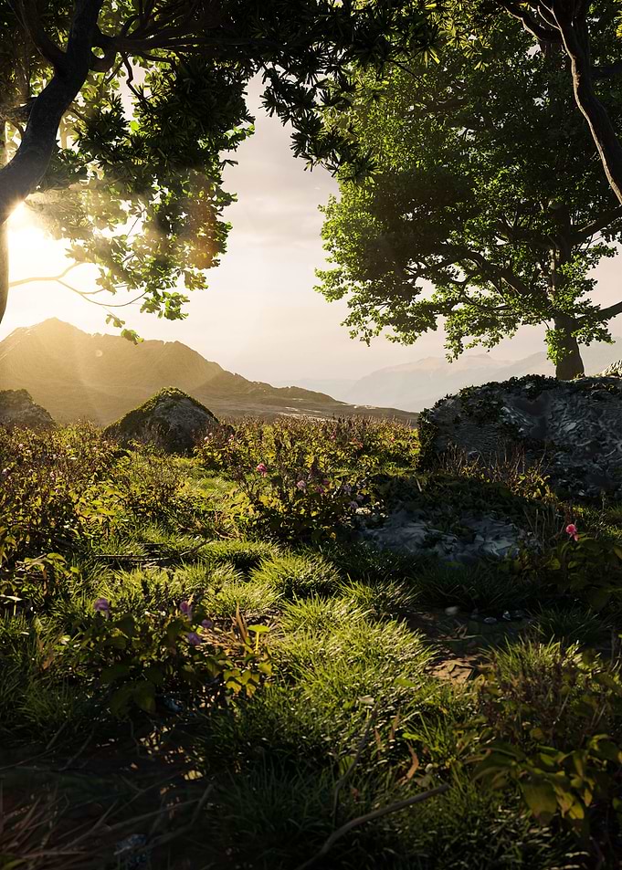 Sunlit Meadow Landscape