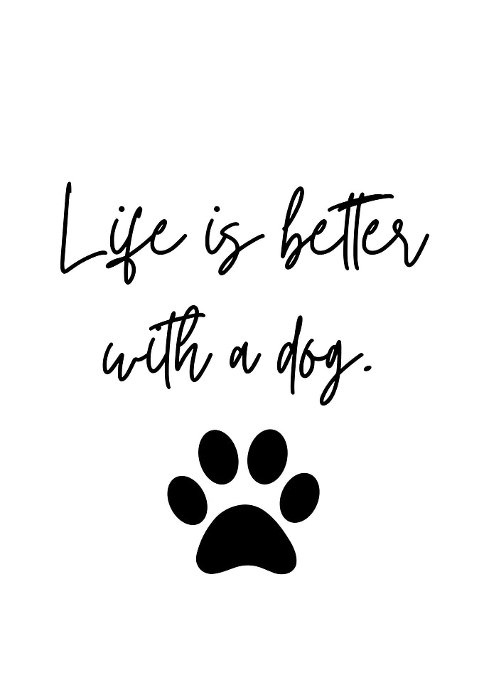 Life is better with a dog