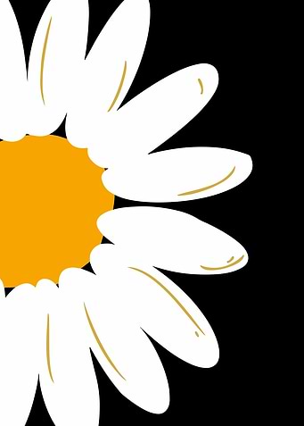 Daisy Flower Illustration on Black Background