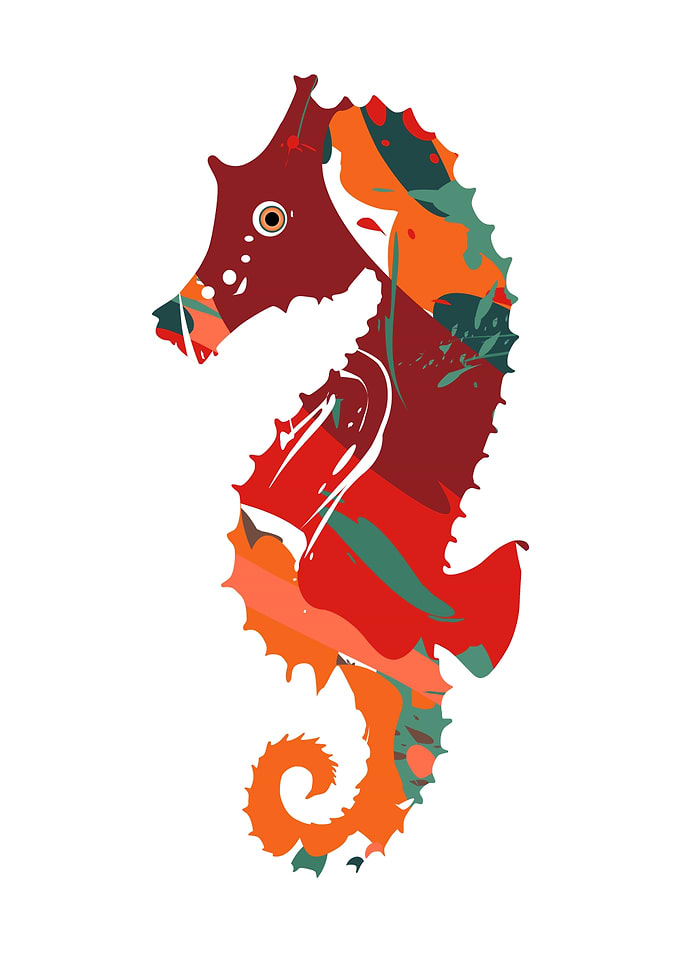 Abstract Seahorse Illustration