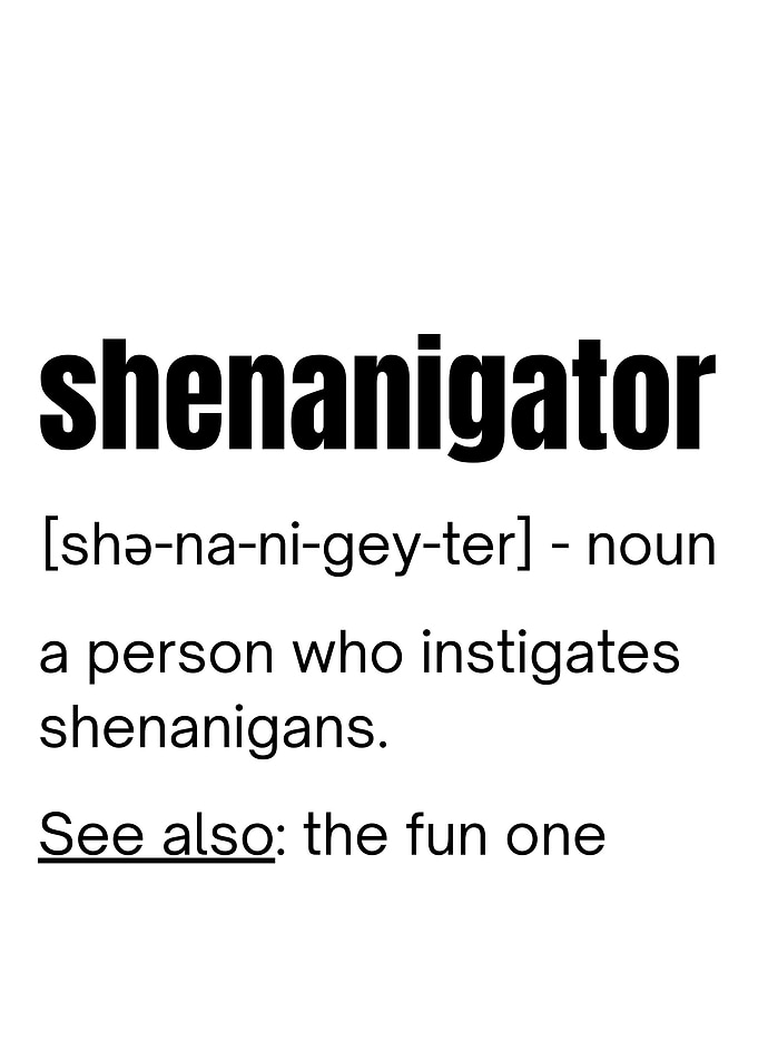 Shenanigator Definition
