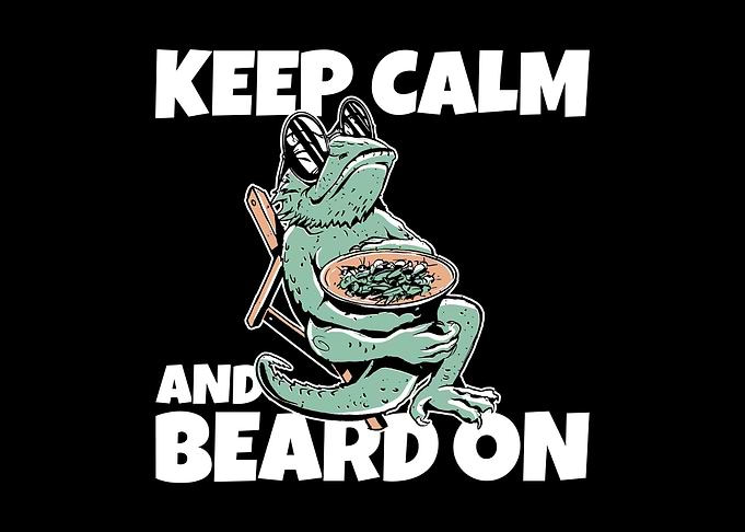 Cool Bearded Dragon