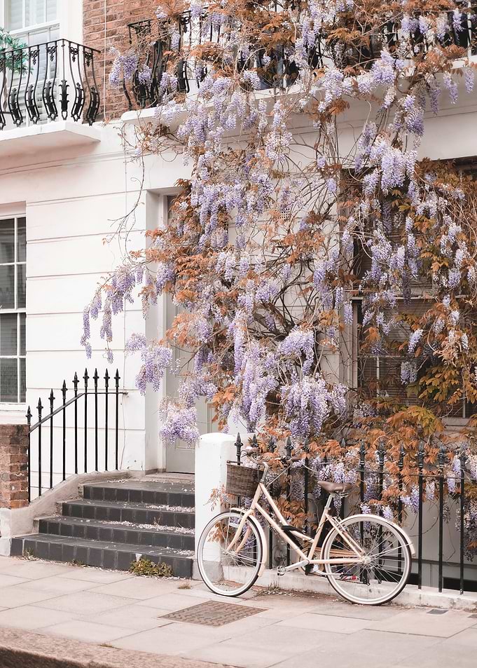 London, England I Primrose Romantic street with vintage bike and wisteria flowers to elegant white Victorian architecture of a boho bohemian London street city urban landscape