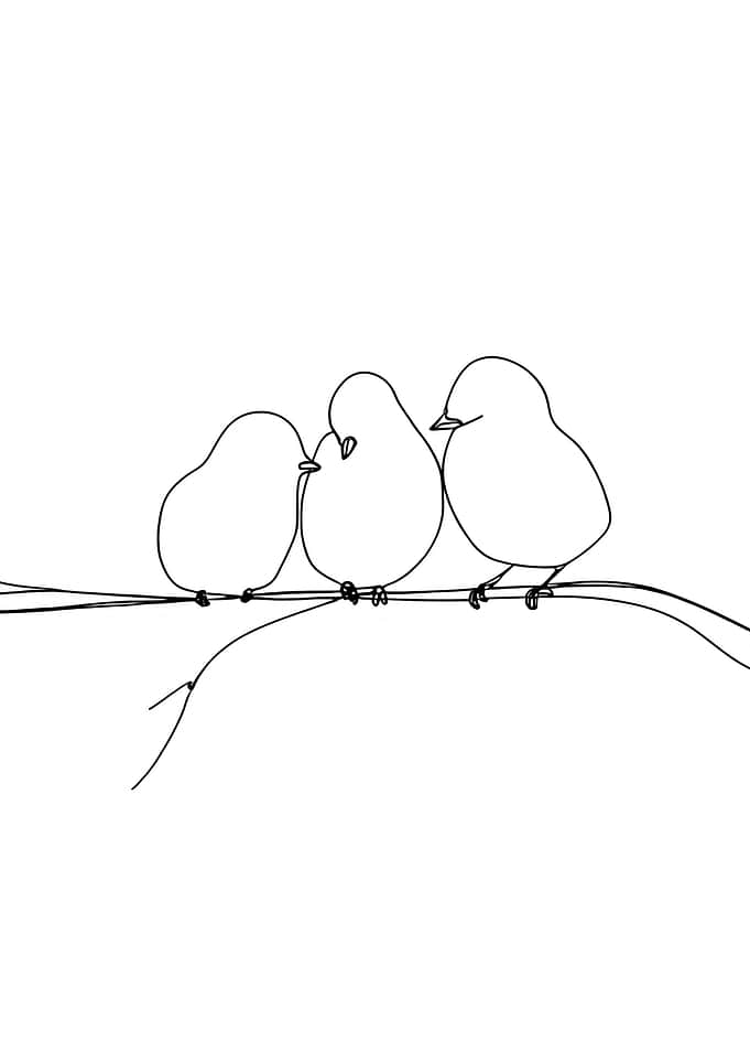 Minimalist Birds on Branch Line Art