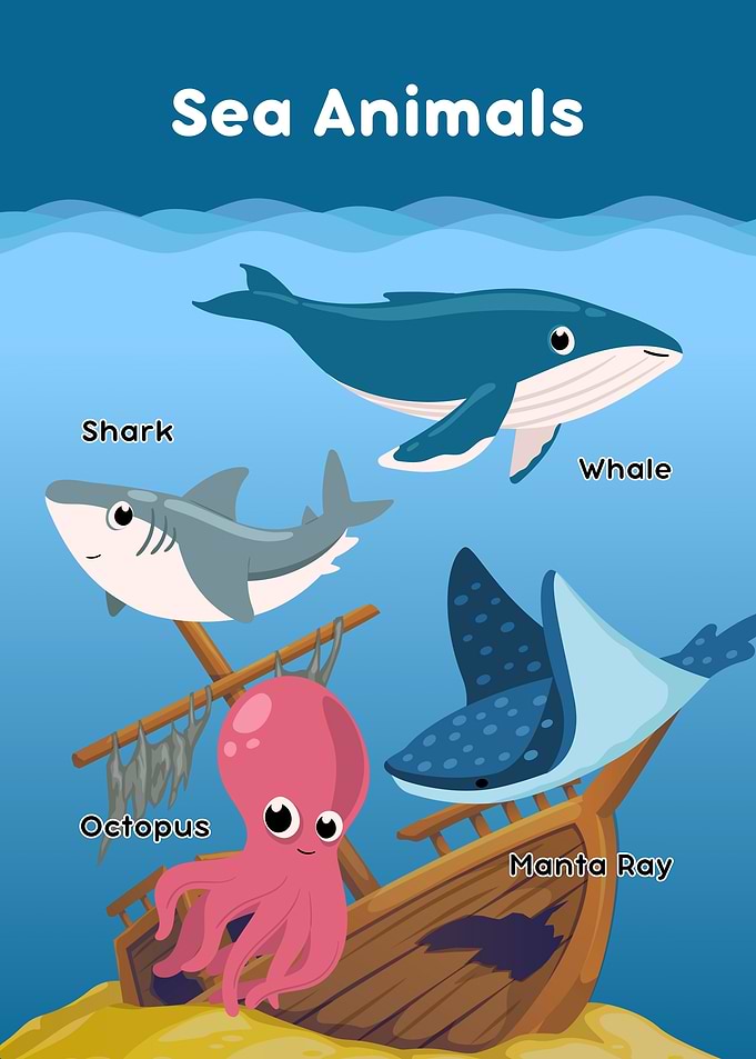 Cartoon Sea Animals Illustration