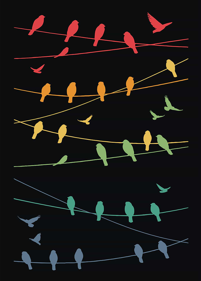 Birds lines Minimalist - Retro